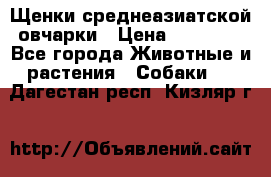 Щенки среднеазиатской овчарки › Цена ­ 20 000 - Все города Животные и растения » Собаки   . Дагестан респ.,Кизляр г.